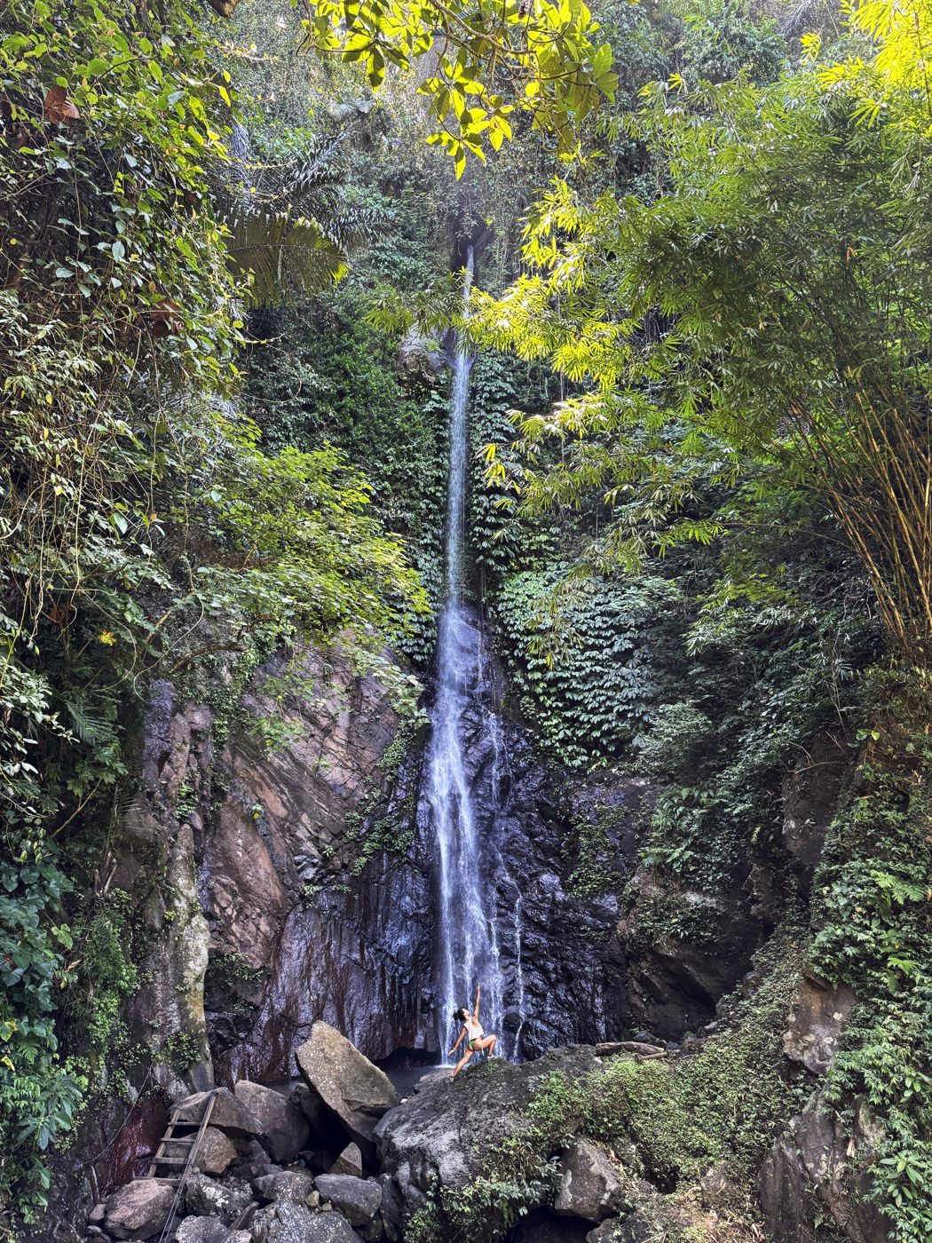 A forest waterfall